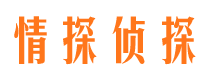 乡城侦探公司